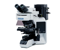 奥林巴斯生物显微镜BX53