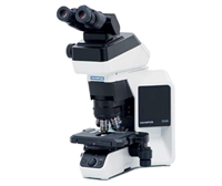 奥林巴斯生物显微镜BX46