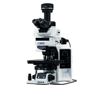 奥林巴斯BX63电动荧光显微镜