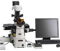 尼康 Ti-E/Ti-U/Ti-S倒置显微镜