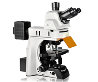 耐可视研究级生物显微镜NE950